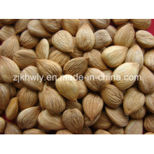Sweet Almond (youyi 780-800 PCS/500g)